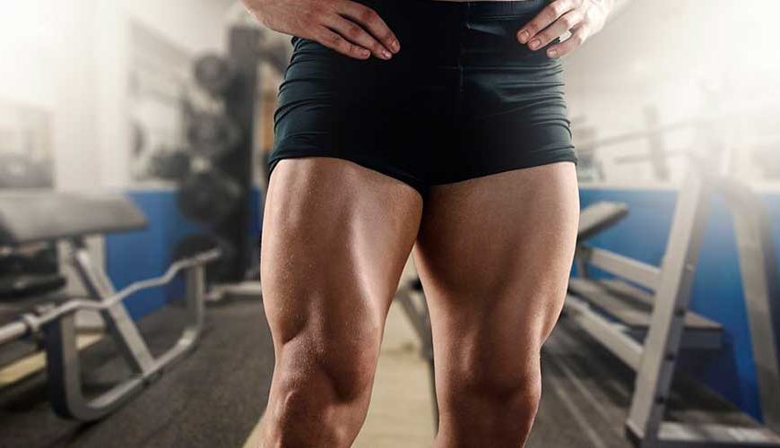 24 Ejercicios para Cuádriceps