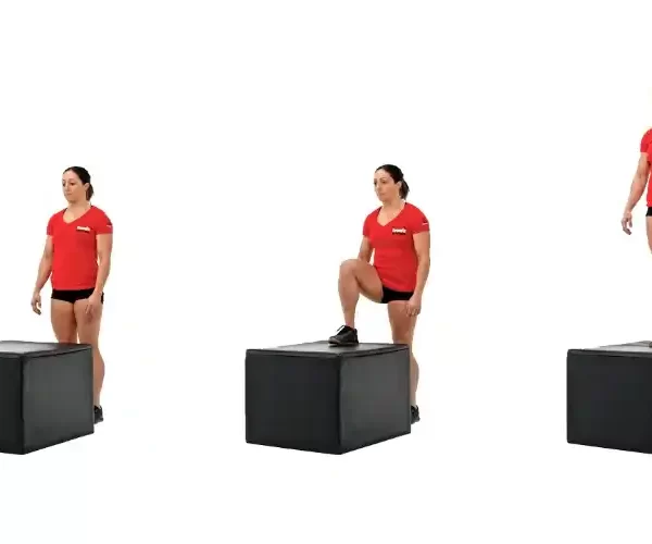 Box step ups un ejercicio completo para fortalecer las piernas