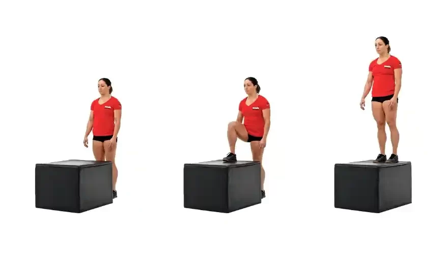 Box step ups un ejercicio completo para fortalecer las piernas